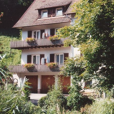 Adieu Alltag: Pension Oesterle Im Schwarzwald Schonmunzach المظهر الخارجي الصورة