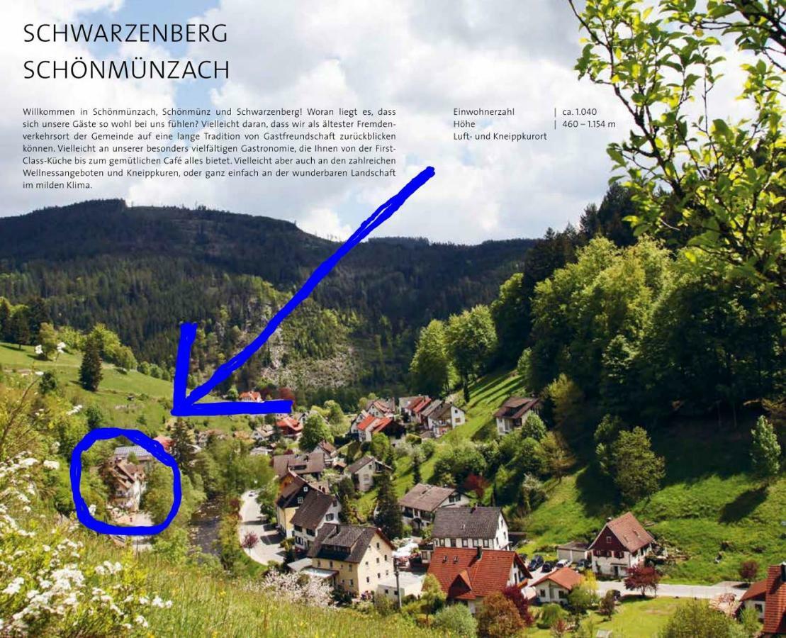 Adieu Alltag: Pension Oesterle Im Schwarzwald Schonmunzach المظهر الخارجي الصورة