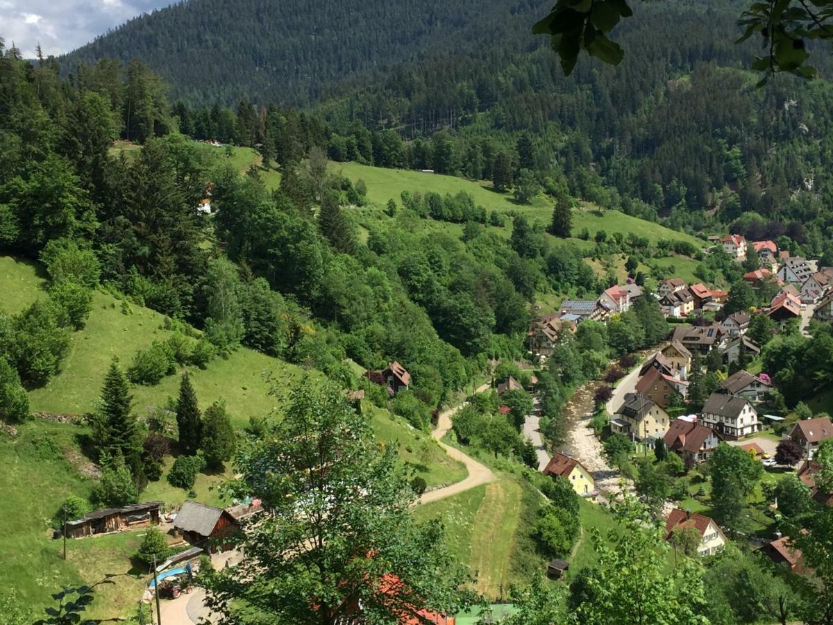 Adieu Alltag: Pension Oesterle Im Schwarzwald Schonmunzach المظهر الخارجي الصورة