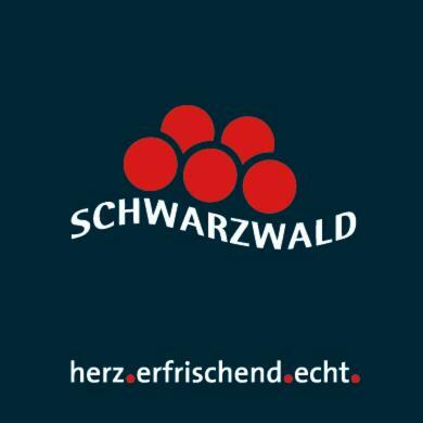 Adieu Alltag: Pension Oesterle Im Schwarzwald Schonmunzach المظهر الخارجي الصورة
